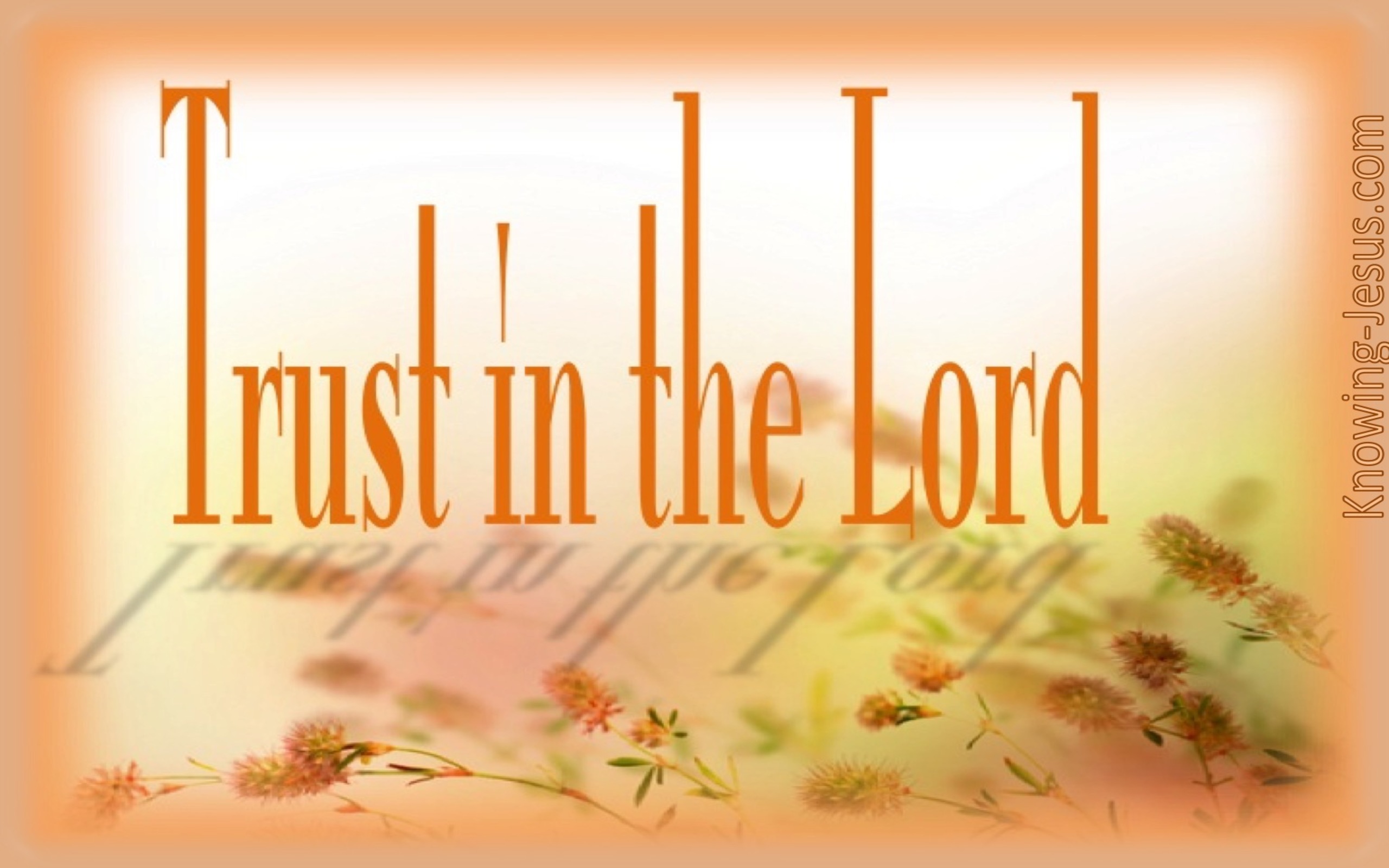 Proverbs 3:5 Faith (devotional)03:13 (orange)